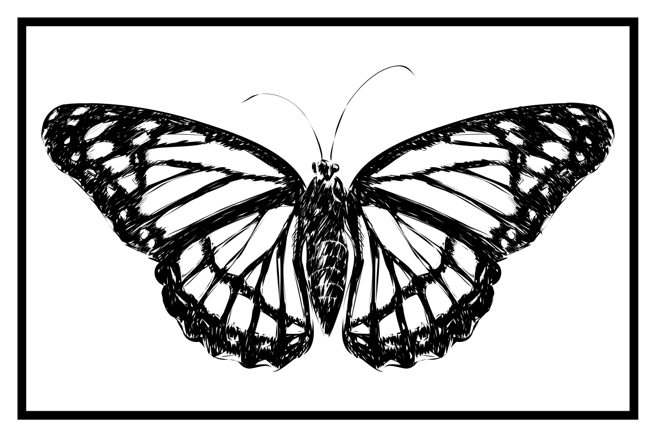 Individual mesa original ilustración de mariposa elegante - TenVinilo