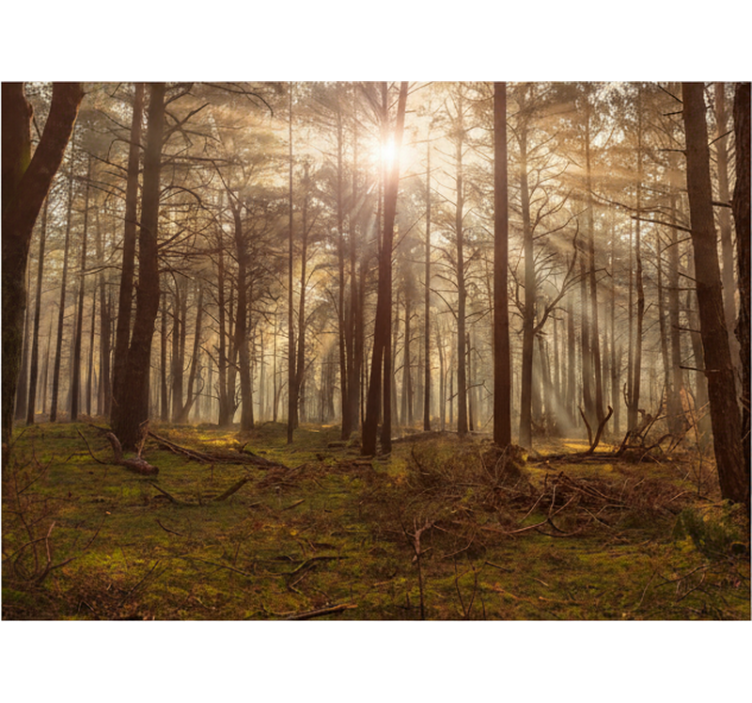 Mural de bosque salón de vida silvestre dorado - TenVinilo