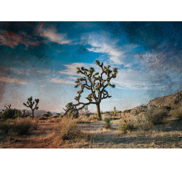Fotomural desierto Desierto pacífico con un árbol - TenVinilo