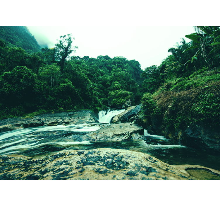Fotomural de bosque Río amazónico - TenVinilo