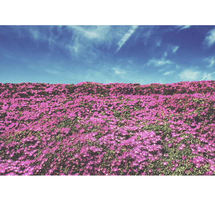 Mural de flores florecitas de tonalidad rosa vibrante - TenVinilo