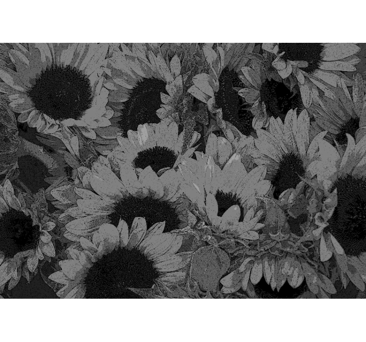 Fotomural flores Girasol blanco y negro - TenVinilo