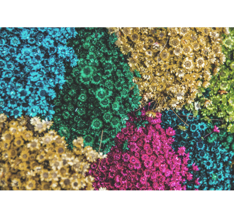 Mural de flores patrones florales coloridos - TenVinilo