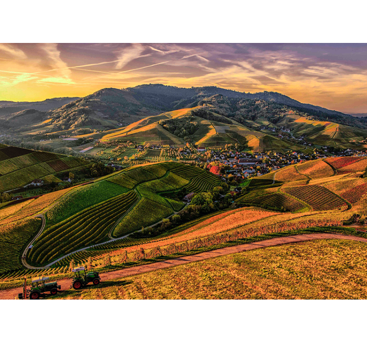 Mural de paisajes vista exuberante del viñedo - TenVinilo