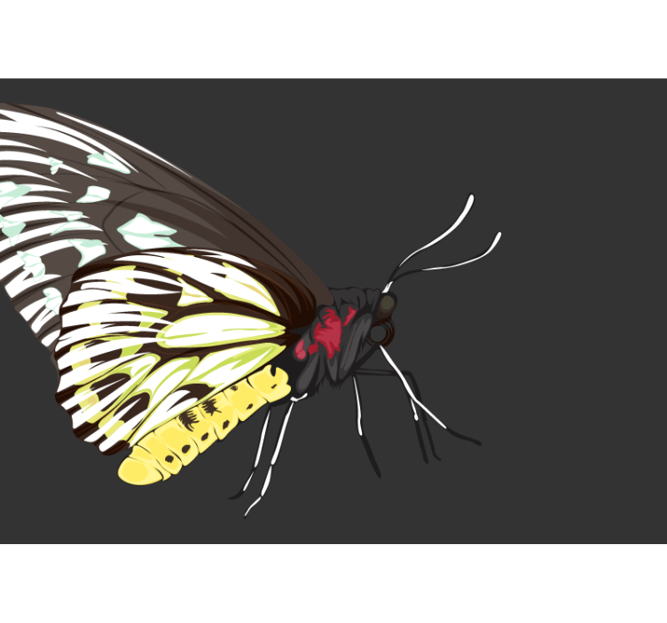 Mural de flores diseño de mariposa amarilla - TenVinilo