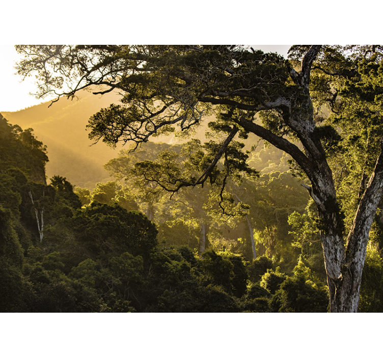 Mural de naturaleza paisaje boscosa verdeante - TenVinilo