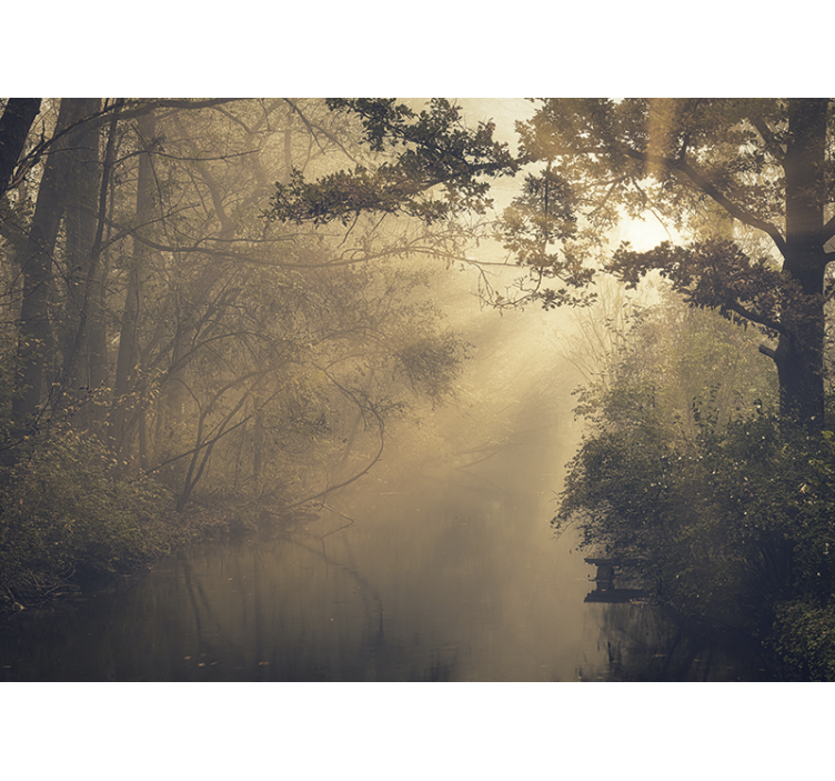 Mural de naturaleza paisaje del bosque luminoso - TenVinilo