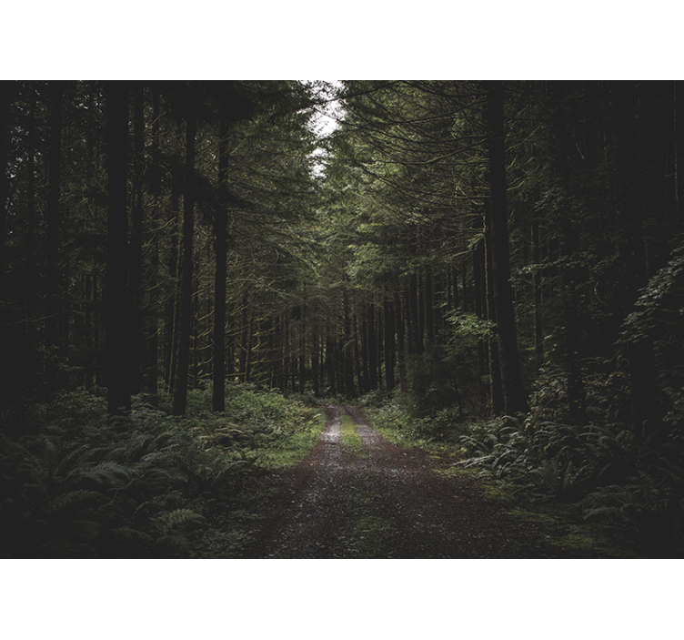 Mural de naturaleza sendero del bosque verde - TenVinilo