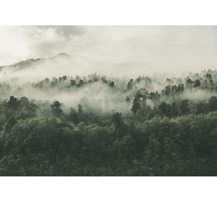 Mural de bosque bosque con niebla desde arriba - TenVinilo