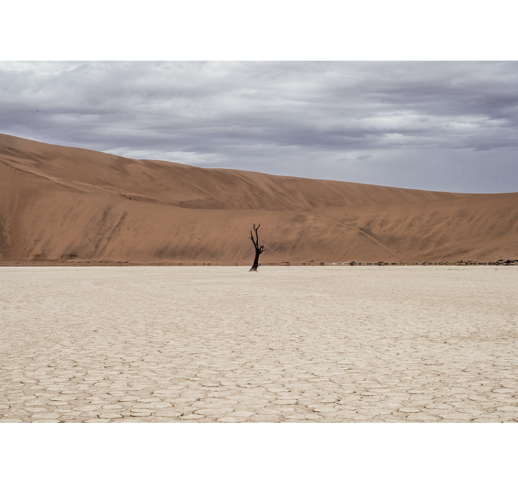 Mural de montañas paisaje del desierto - TenVinilo