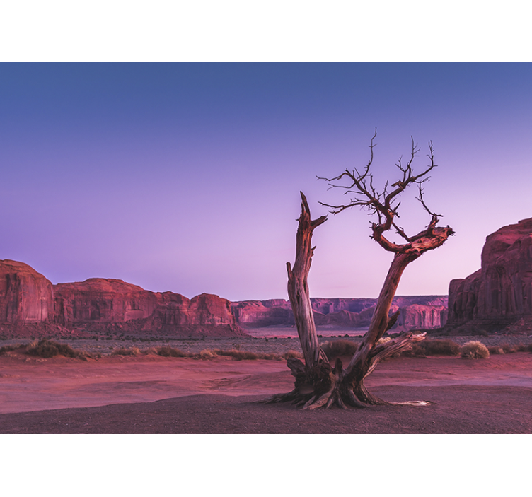 Fotomural despacho Paisaje desértico rosa - TenVinilo