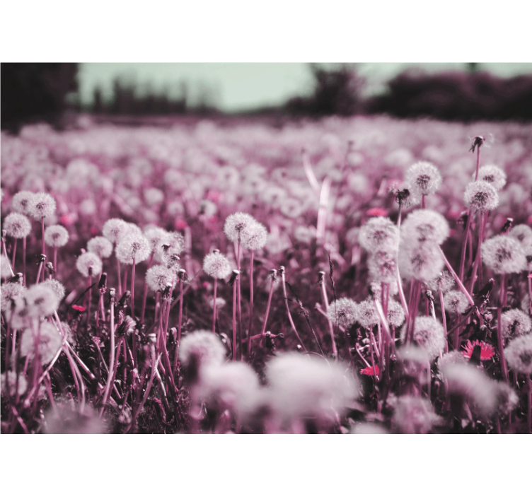 Mural de león escena de campo morado - TenVinilo
