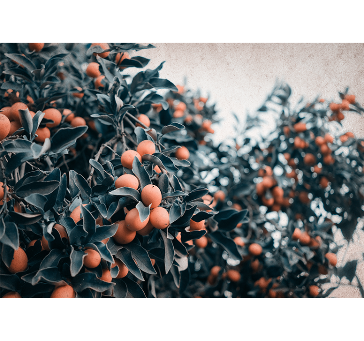 Mural de flores rama de frutas cítricas - TenVinilo
