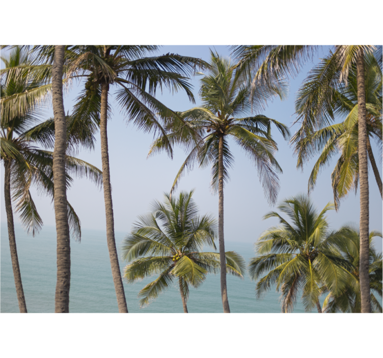 Mural de naturaleza paisaje de palmeras - TenVinilo