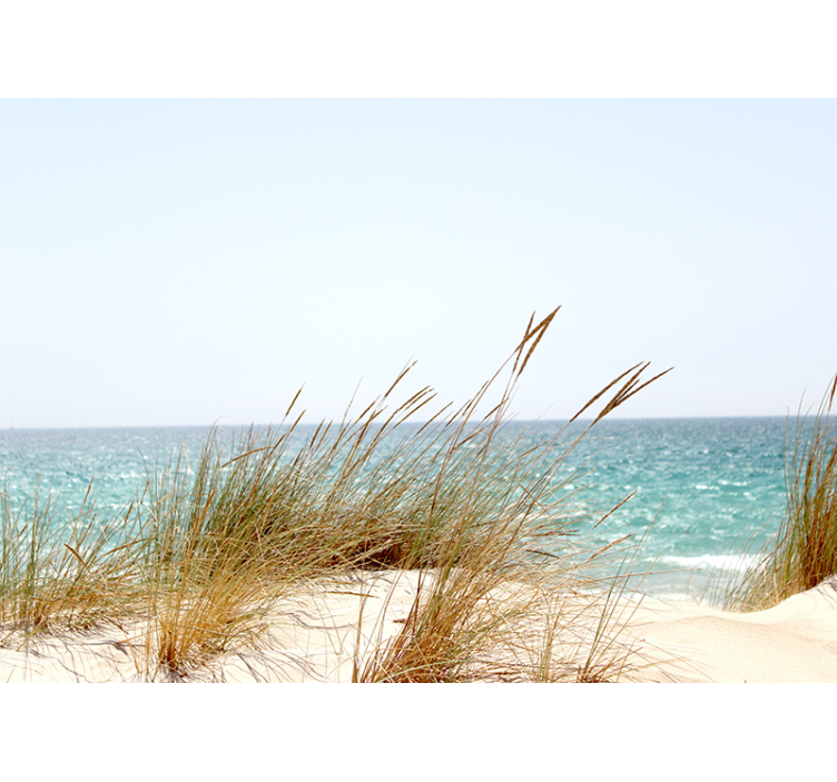 Mural de naturaleza vista de costa tranquila - TenVinilo