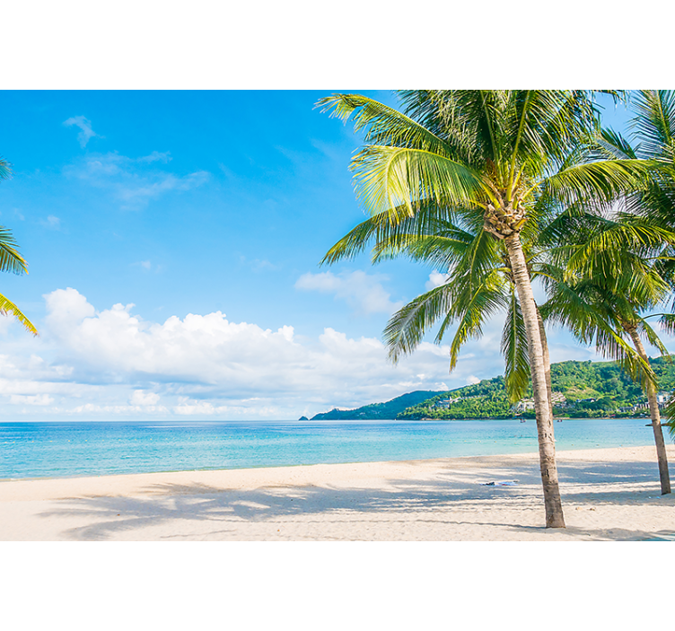 Fotomural naturaleza Fotografía estética de sol de verano - TenVinilo