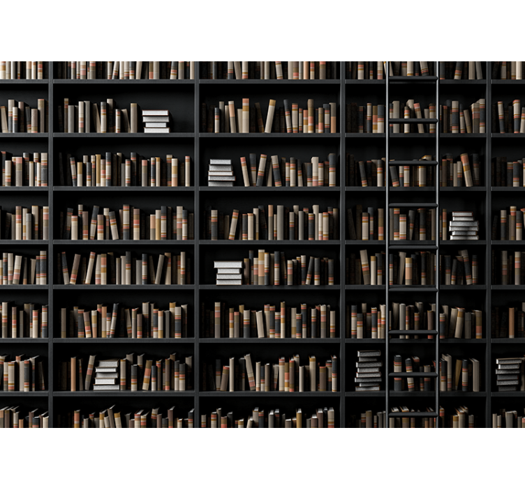 Mural efecto piedra asortimento de libros biblioteca - TenVinilo