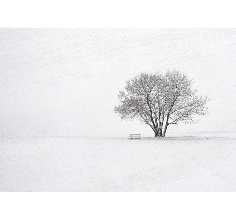 Mural de naturaleza Árbol solitario nevado - TenVinilo