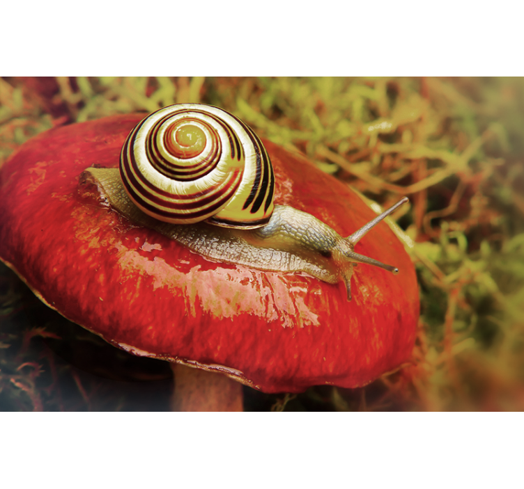 Mural de animales caracol sobre hongo - TenVinilo