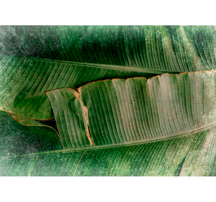 Mural de naturaleza niveles de follaje vibrante - TenVinilo