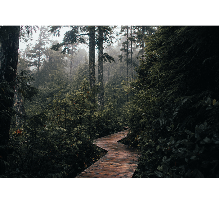 Fotomural naturaleza Camino en el bosque - TenVinilo