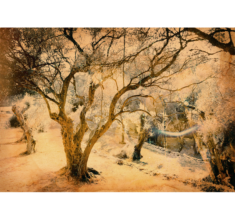 Mural de bosque Árboles de olivo dorados - TenVinilo