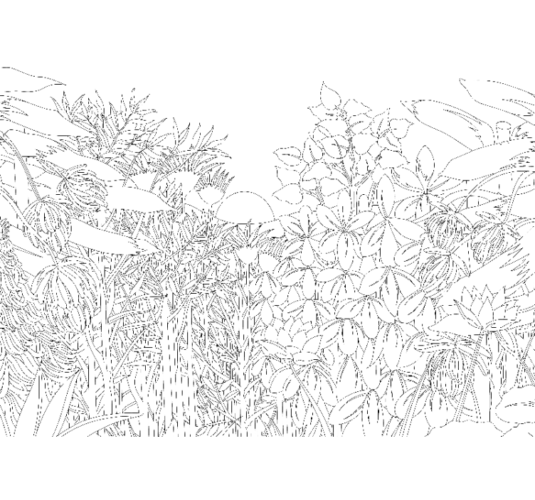 Fotomural de bosque Bosquejo de la selva tropical - TenVinilo