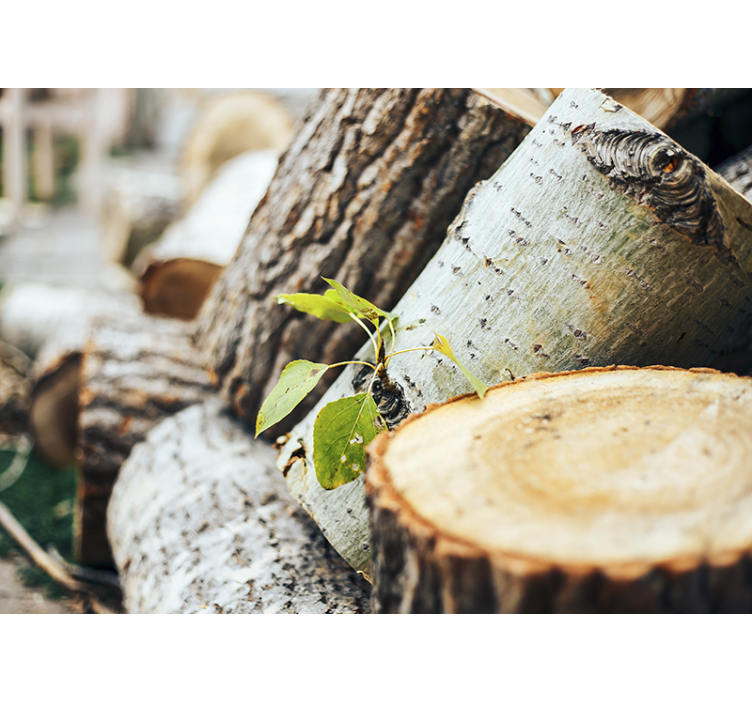 Mural de bosque arreglo de troncos de madera - TenVinilo