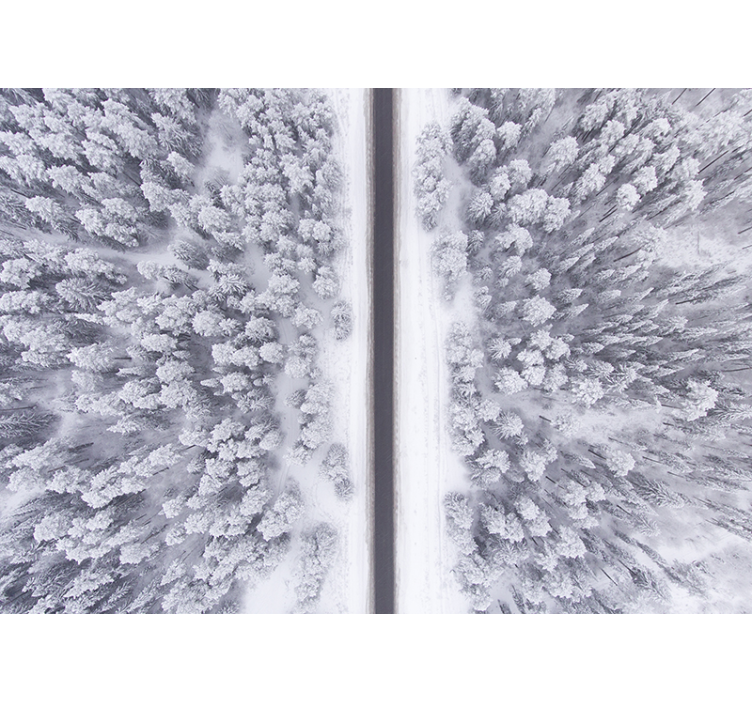 Mural de paisajes sendero del bosque invernal - TenVinilo