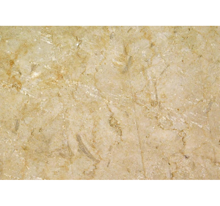 Fotomural piedra tonos beige - TenVinilo