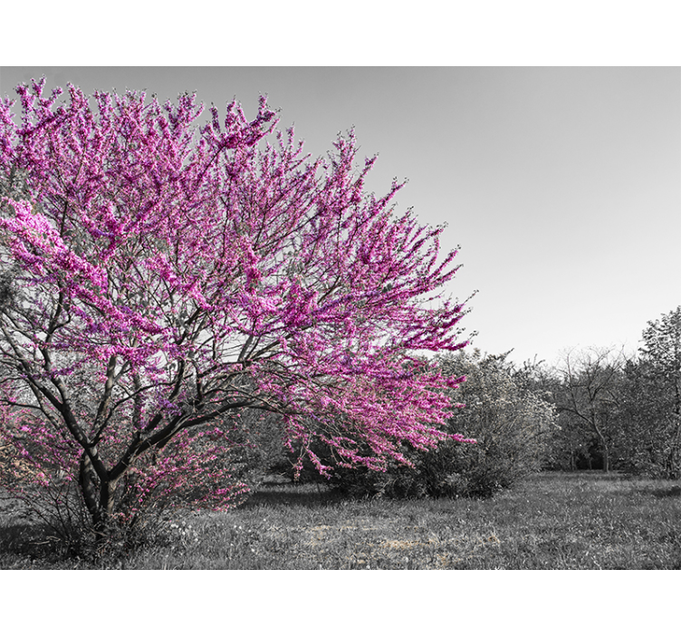 Mural de flores Árbol de cerezos - TenVinilo