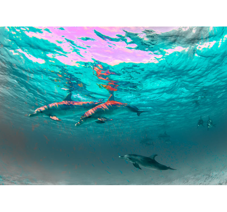 Fotomural mar Delfines nadando en el mar - TenVinilo