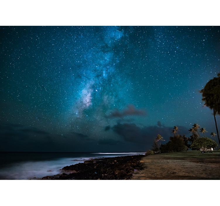 Mural del espacio cielo nocturno estrellado - TenVinilo