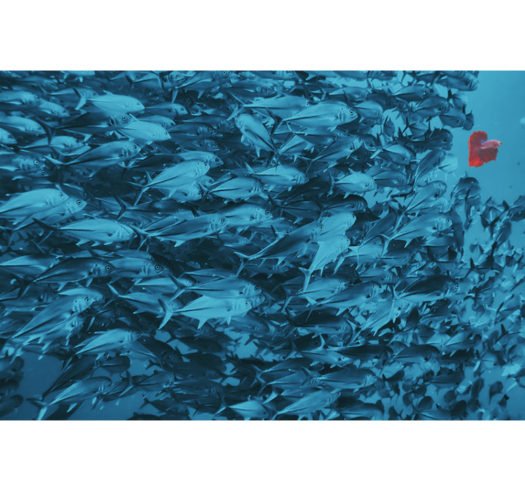 Mural de animales escuela de peces en el agua - TenVinilo