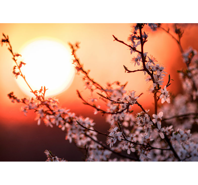 Mural de flores show de flores al atardecer - TenVinilo