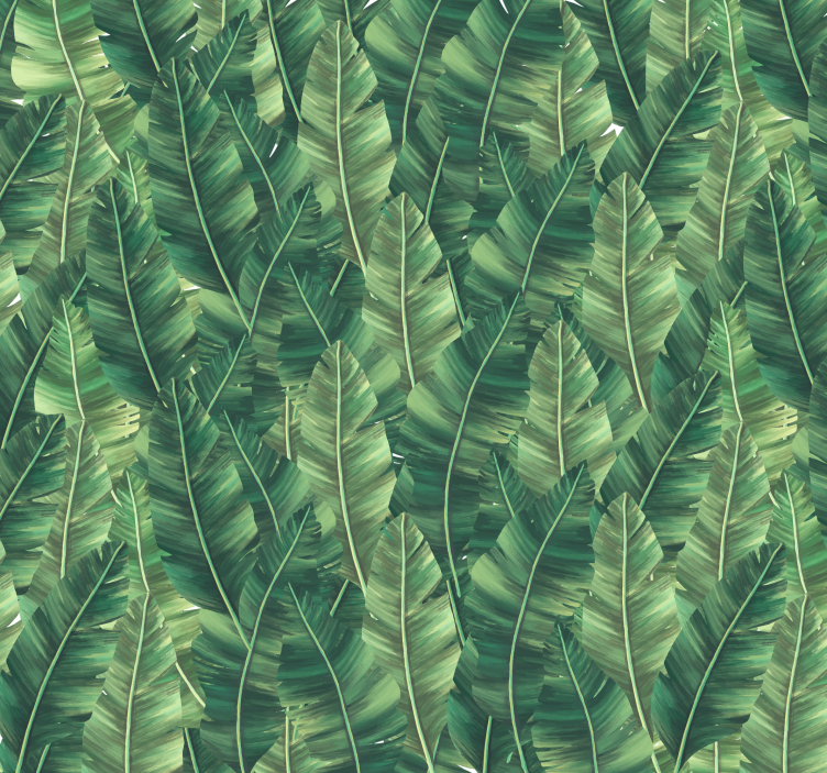 Fotomural de naturaleza grandes hojas - TenVinilo