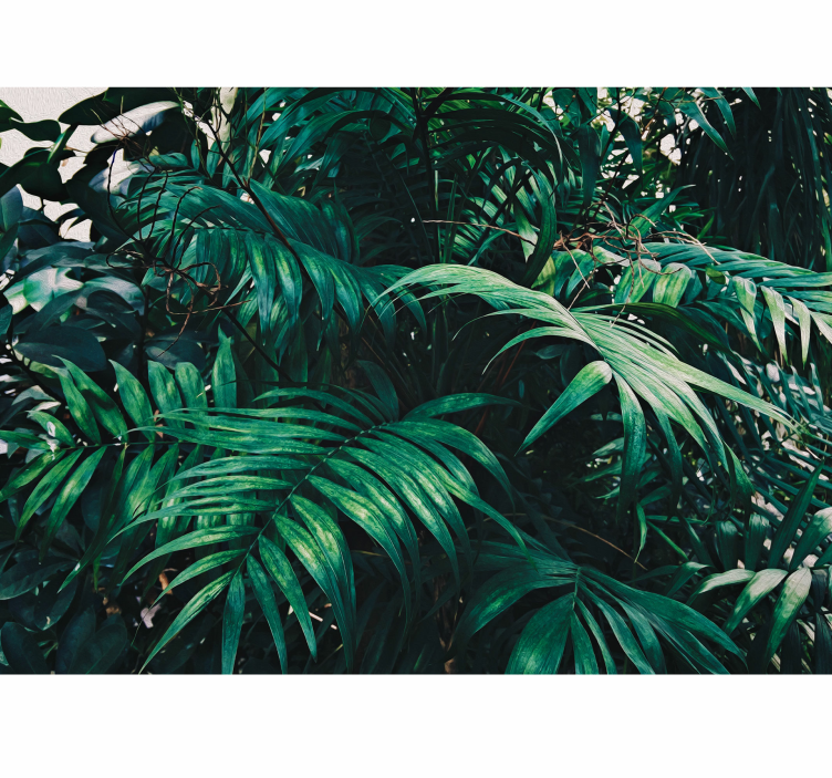 Fotomural naturaleza Plantas tropicales amazónicas - TenVinilo