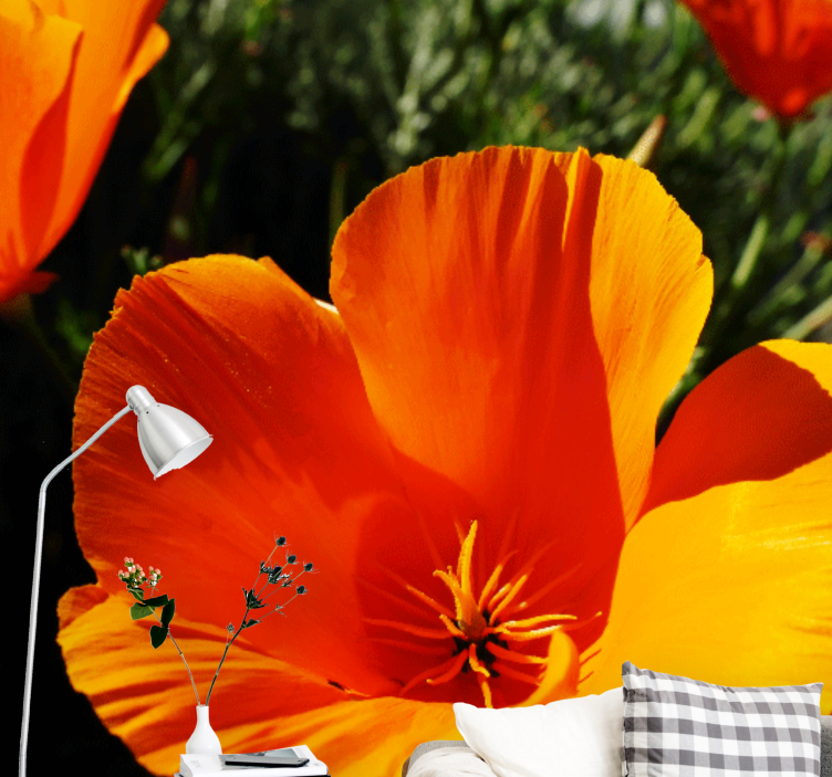 Fotomural flores Amapolas naranjas en un campo soleado - TenVinilo