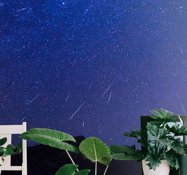Fotomural espacio Estrellas fugaces en el lugar - TenVinilo