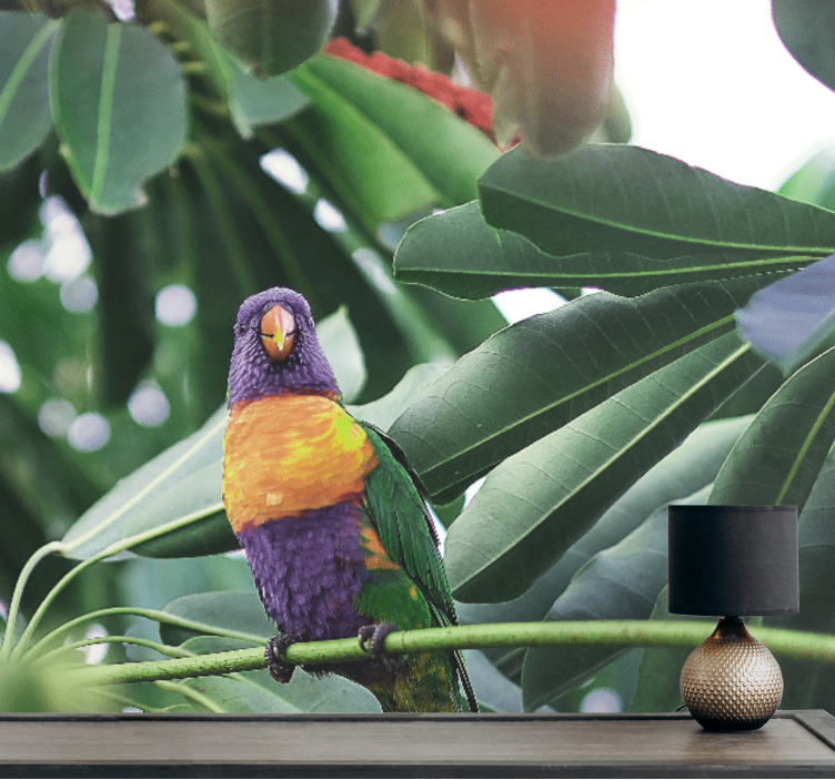 Mural de animales loro colorido posado - TenVinilo