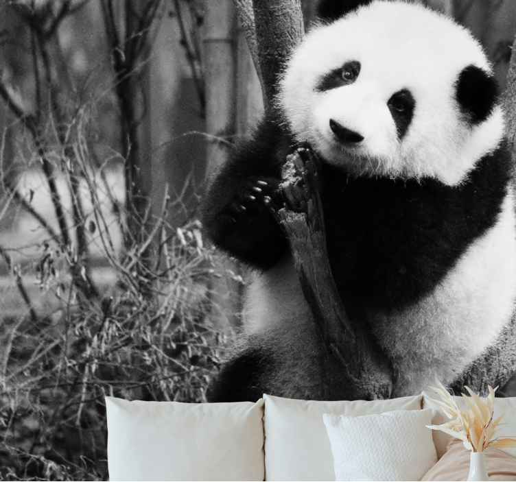 Mural de animales panda en el árbol - TenVinilo