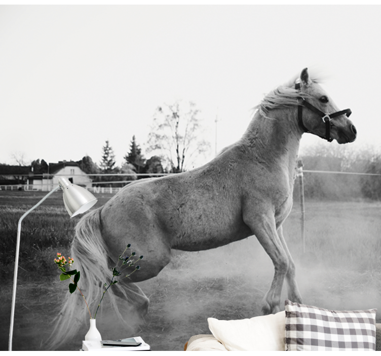 Mural de animales pony galopante - TenVinilo