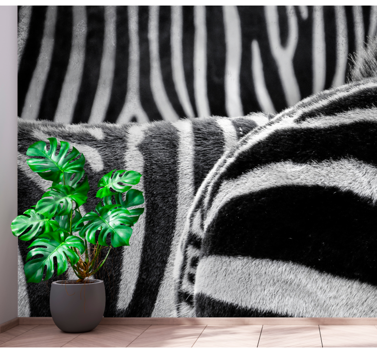 Mural de animales rayas de cebra realistas - TenVinilo