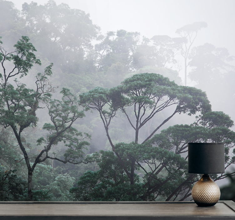 Mural de bosque paisaje de bosque brumoso - TenVinilo