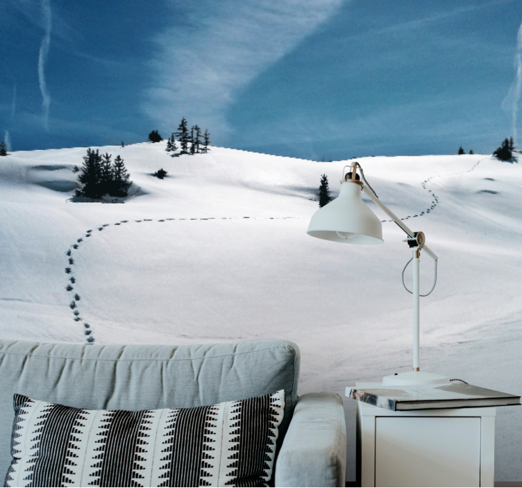 Mural de montañas sendero de montañas nevadas - TenVinilo