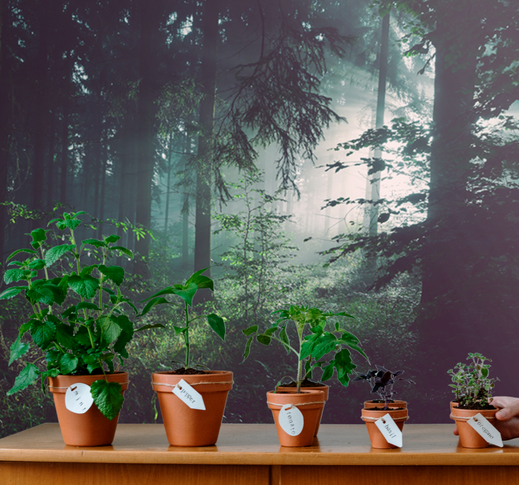 Mural de naturaleza paisaje boscoso verdeante - TenVinilo