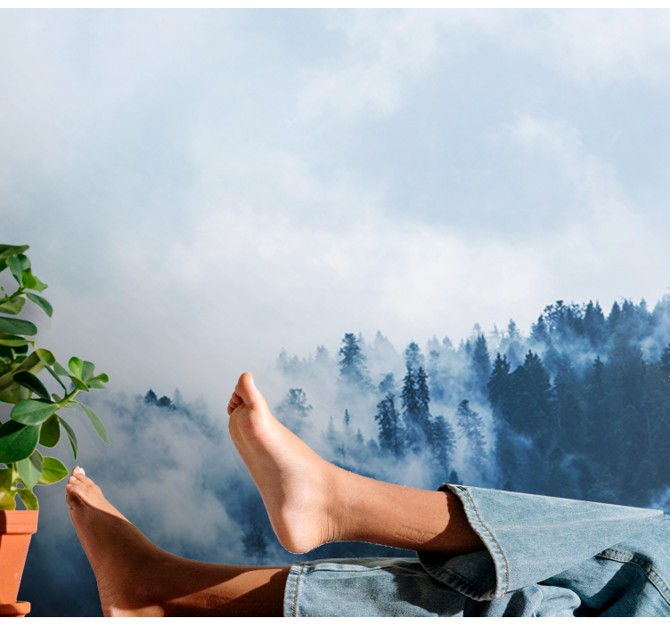 Mural de naturaleza paisaje boscoso y brumoso - TenVinilo