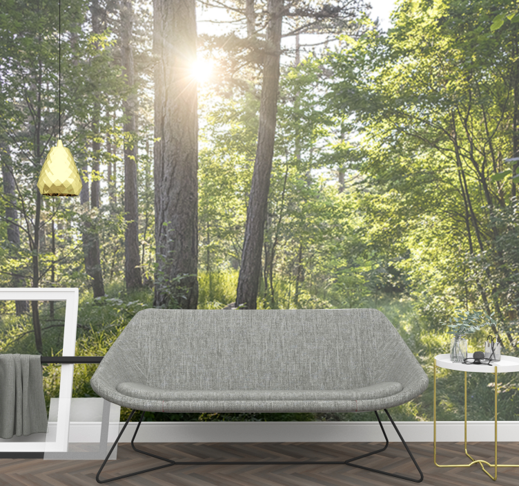 Mural de naturaleza sendero del bosque luminoso - TenVinilo