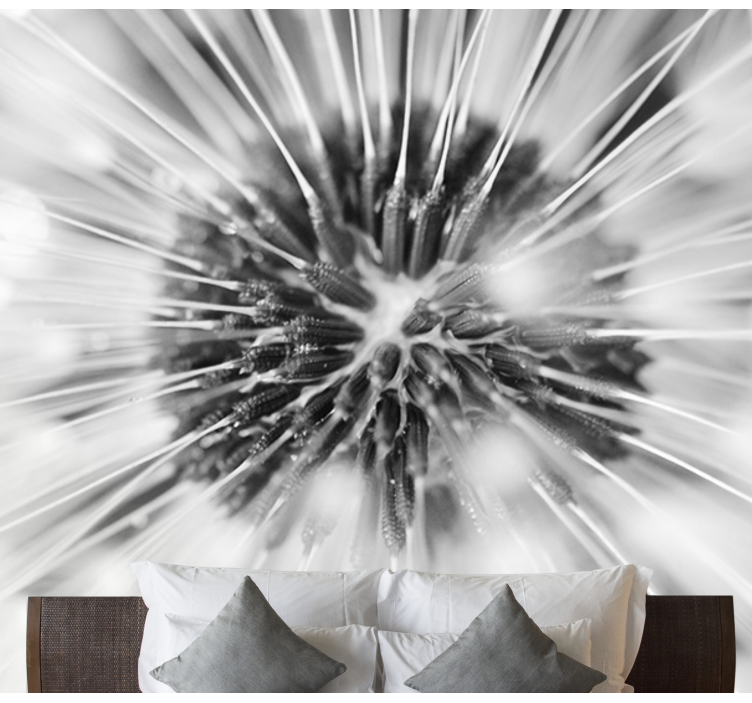 Fotomural diente de león Elegante diente de león blanco y negro - TenVinilo