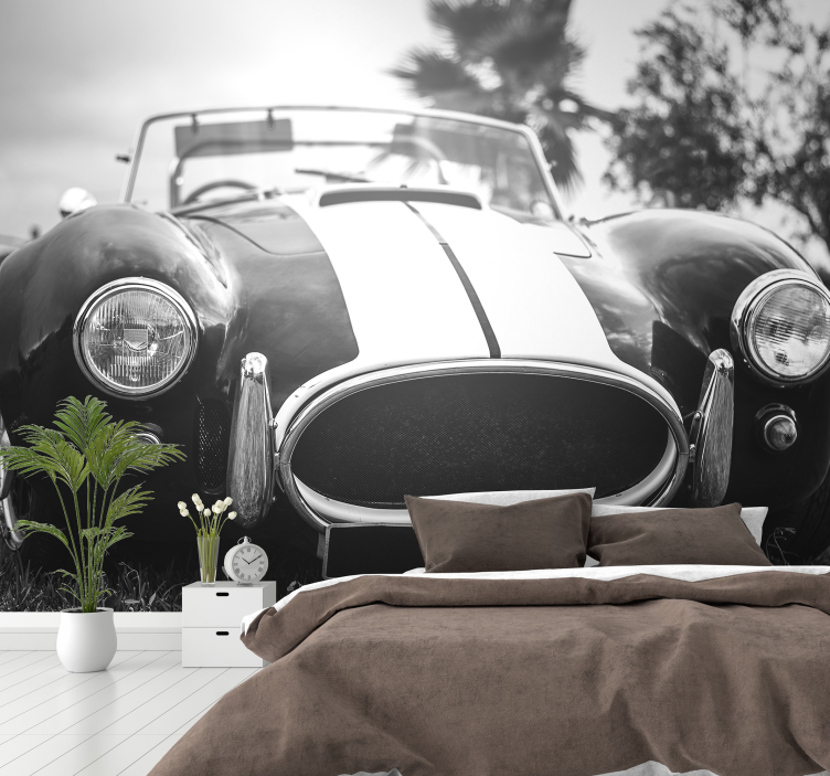 Fotomural pared automóvil carreras vintage - TenVinilo